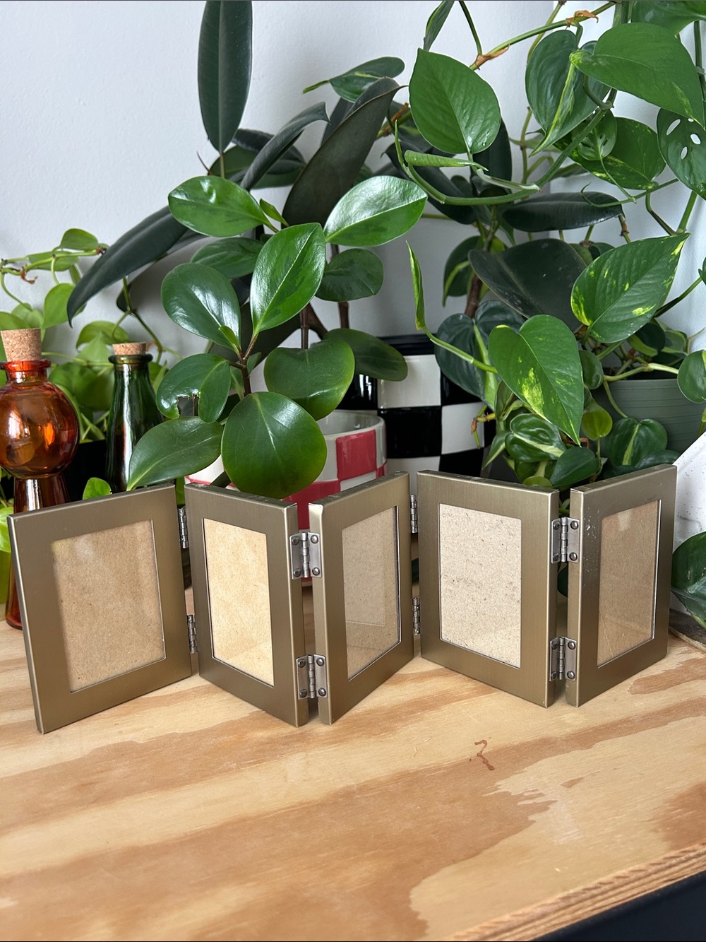 Mini Polaroid Accordion Picture Frame